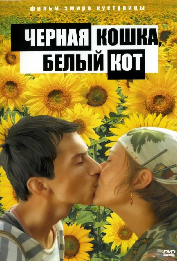 Фильм Черная кошка, белый кот 1998 смотреть онлайн с актёрами Срджан Тодорович и Стоян Сотиров